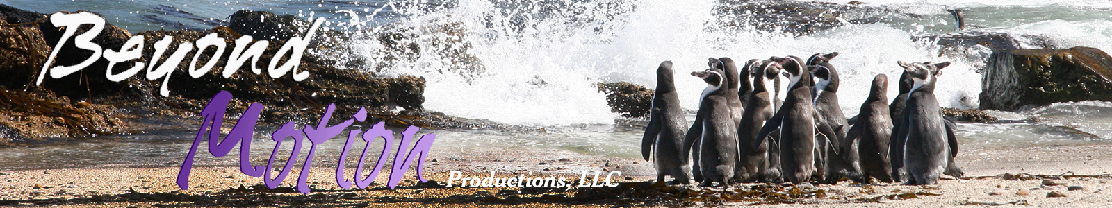 Beyond Motion Productions