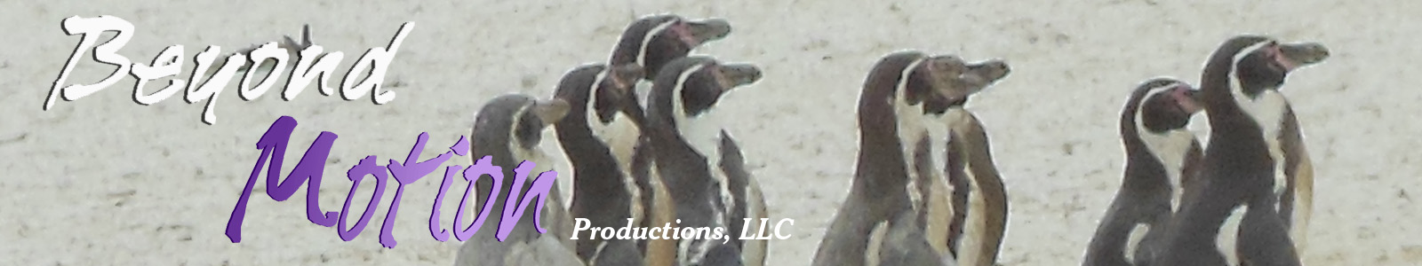 Beyond Motion Productions
